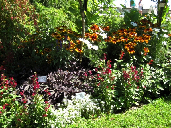 Zdjęcie z Niemiec - Mainau