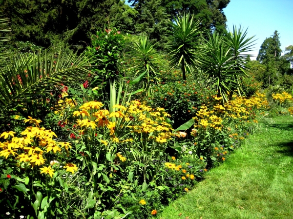 Zdjęcie z Niemiec - Mainau