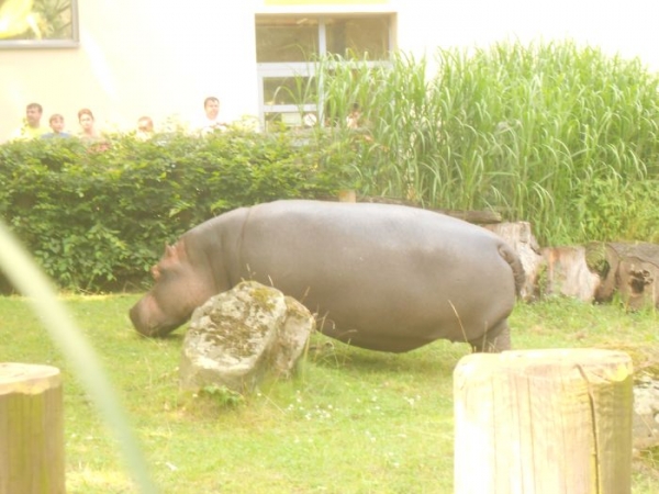 Zdjęcie z Czech - Zoo Ostrava