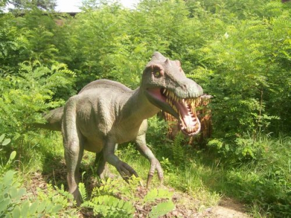 Zdjęcie z Polski - DinoZatorLand