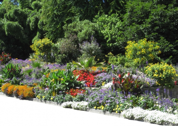 Zdjęcie z Niemiec - Mainau