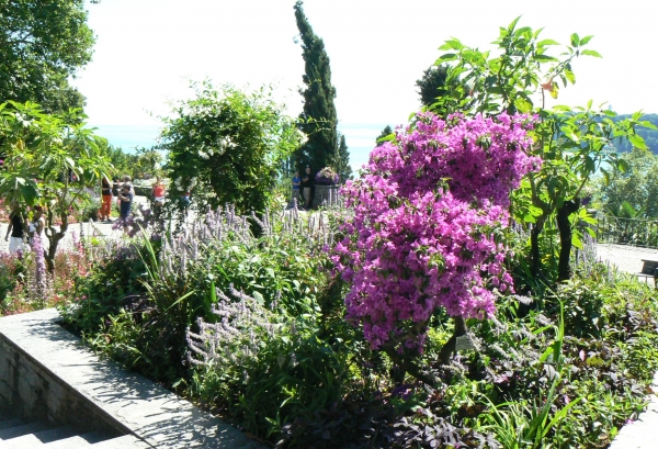 Zdjęcie z Niemiec - Mainau