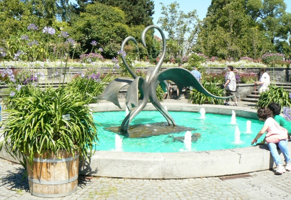 Zdjęcie z Niemiec - Mainau