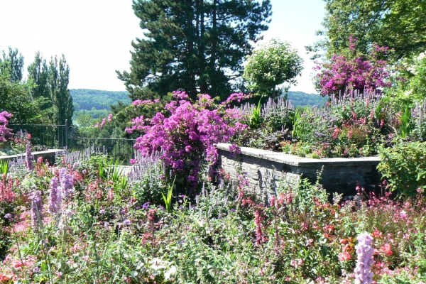 Zdjęcie z Niemiec - Mainau