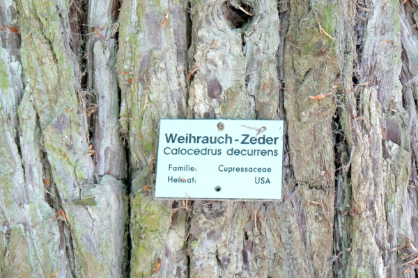 Zdjęcie z Niemiec - Mainau