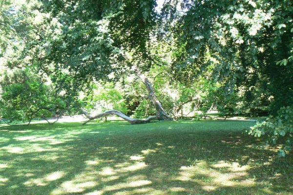 Zdjęcie z Niemiec - Mainau