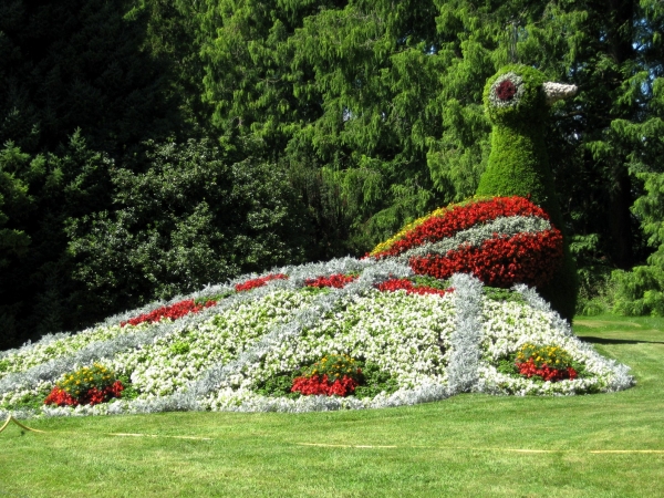 Zdjęcie z Niemiec - Mainau