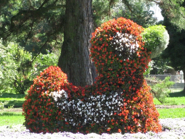 Zdjęcie z Niemiec - Mainau