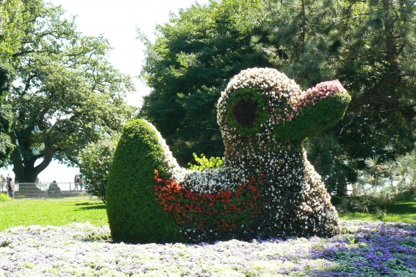 Zdjęcie z Niemiec - Mainau