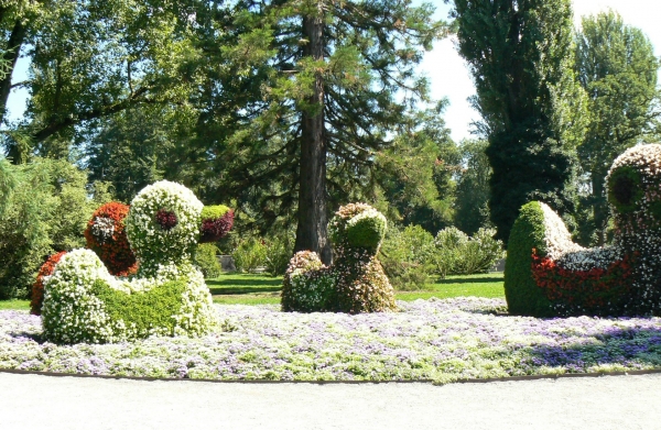Zdjęcie z Niemiec - Mainau