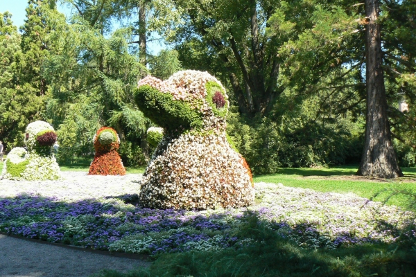 Zdjęcie z Niemiec - Mainau