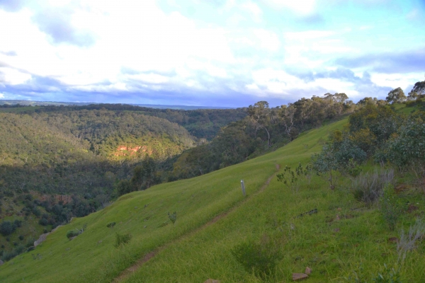 Zdjęcie z Australii - Szlak Sundews Ridge Hike