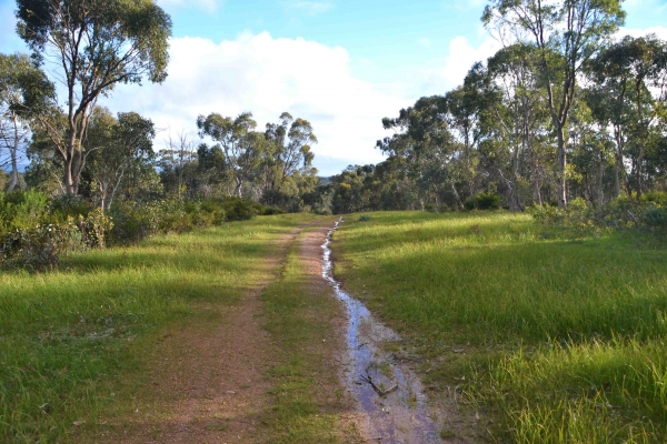 Zdjęcie z Australii - W drodze do Pennys Hill