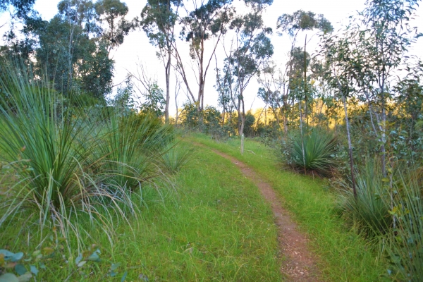 Zdjęcie z Australii - Szlak Sundews Ridge Hike