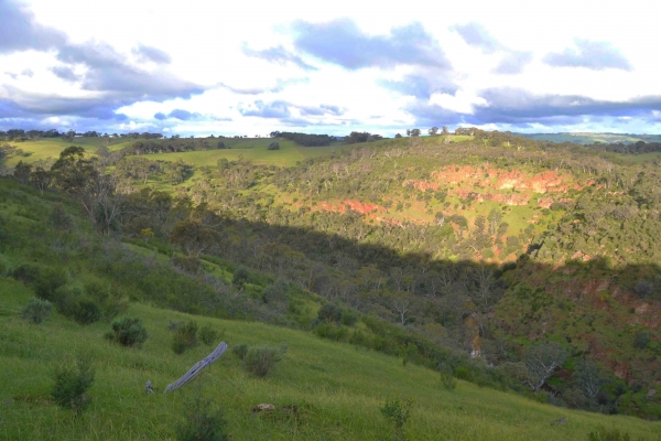 Zdjęcie z Australii - Onkaparinga Gorge