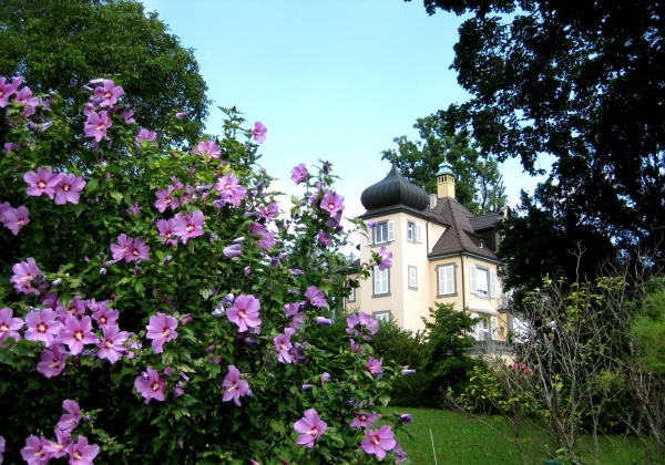 Zdjęcie z Niemiec - Konstanz