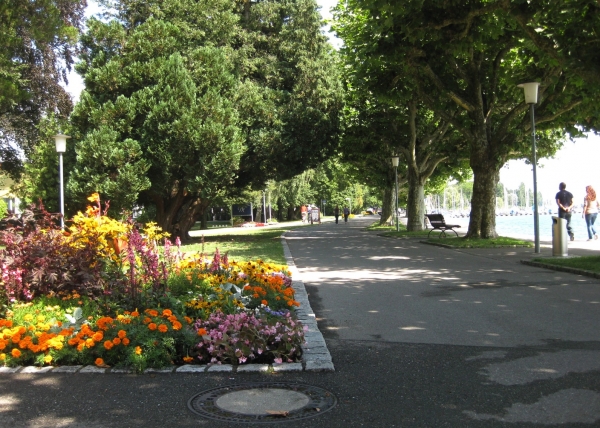 Zdjęcie z Niemiec - Konstanz