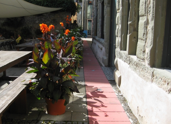 Zdjęcie z Niemiec - Konstanz