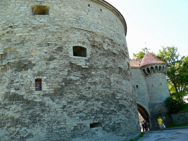 Zdjęcie z Estonii - 