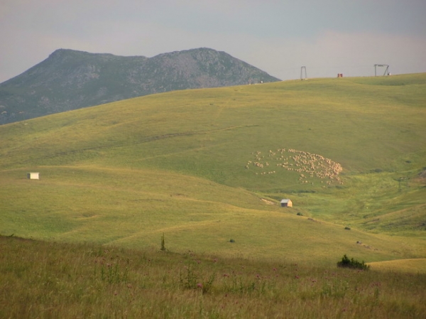Zdjęcie z Macedonii - Okolice Galicznika.