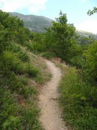 Zdjęcie z Macedonii - Szlak Galicznik-Jancze.
