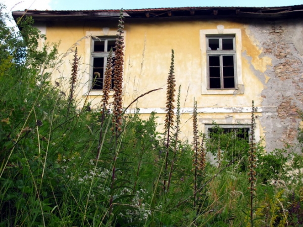 Zdjęcie z Macedonii - Folkowa wieś Galicznik.
