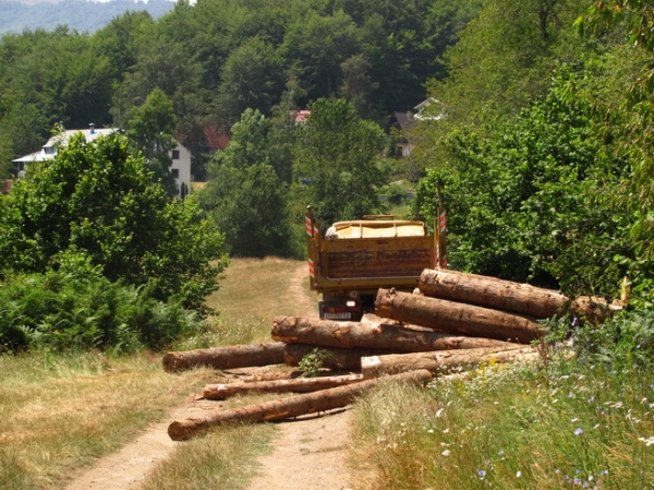 Zdjęcie z Macedonii - Letnisko Mawrowo.