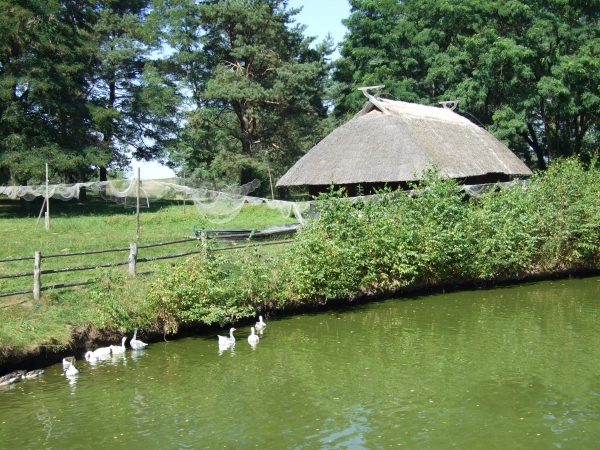 Zdjęcie z Polski - Olsztynek