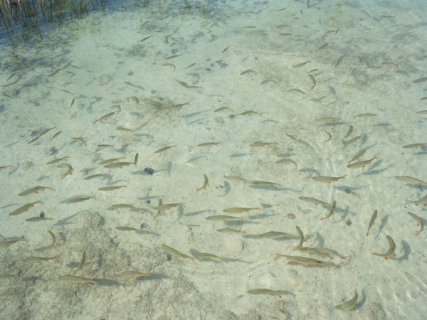 Zdjęcie z Chorwacji - 