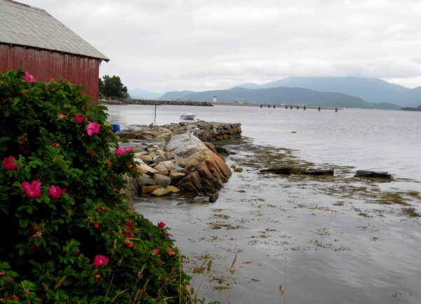 Zdjęcie z Norwegii - Molde