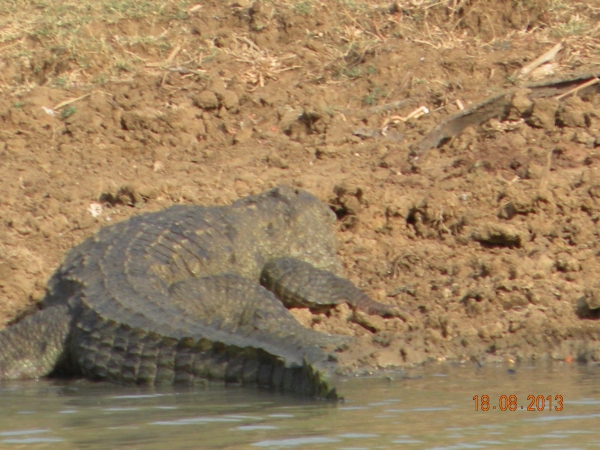 Zdjęcie ze Sri Lanki - 