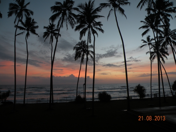 Zdjęcie ze Sri Lanki - 