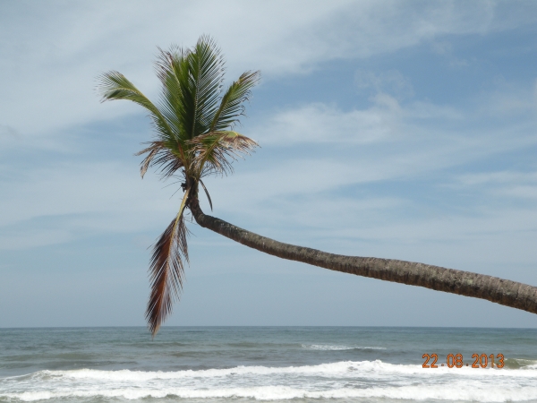 Zdjęcie ze Sri Lanki - 