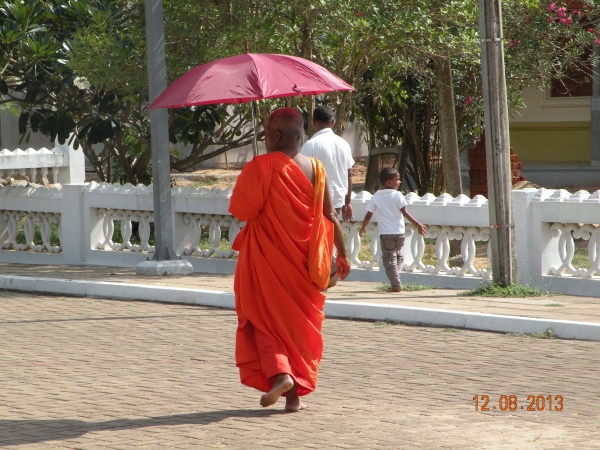 Zdjęcie ze Sri Lanki - 