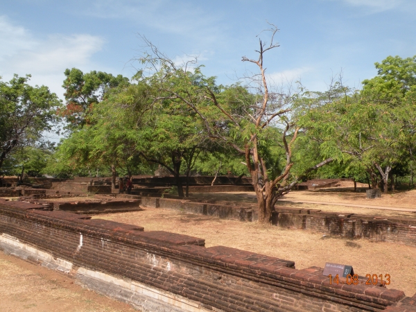 Zdjęcie ze Sri Lanki - 