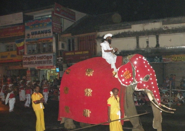 Zdjęcie ze Sri Lanki - 
