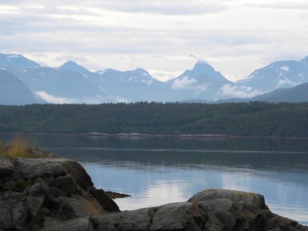 Zdjęcie z Norwegii - oklice Molde