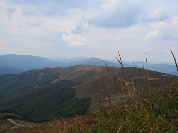 Zdjecie - Polska - Tarnica