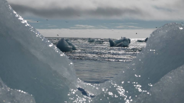 Zdjęcie z Islandii - Jökulsárlón