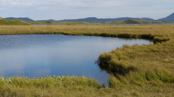 Zdjęcie z Islandii - Myvatn