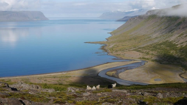 Zdjęcie z Islandii - Westfjords