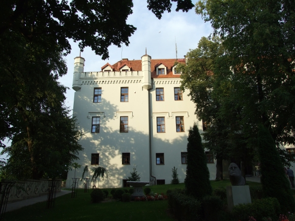 Zdjęcie z Polski - zamek w Rynie