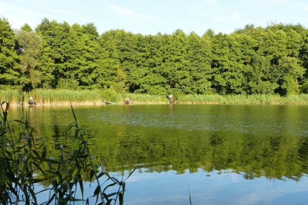 Zdjęcie z Polski - Kujawy, jez.Słupowskie