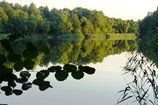 Zdjęcie z Polski - jez. Słupowskie