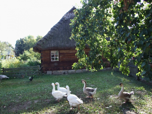 Zdjęcie z Polski - w skansenie