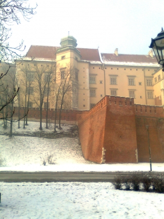Zdjęcie z Polski - 