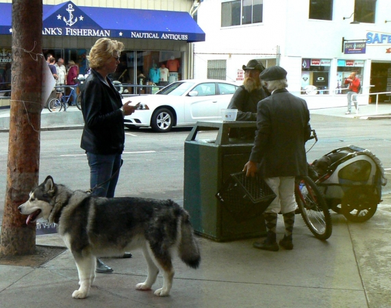 Zdjęcie ze Stanów Zjednoczonych - San Francisco