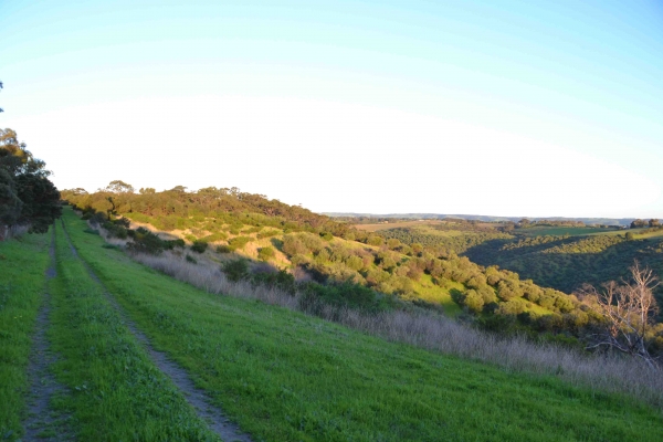 Zdjęcie z Australii - Onkaparinga Gorge