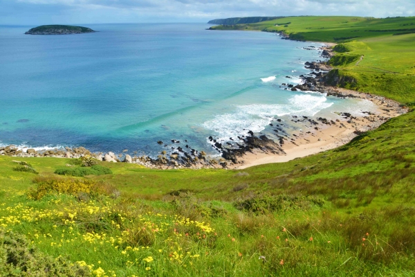 Zdjęcie z Australii - Zatoczka Petrel Cove,