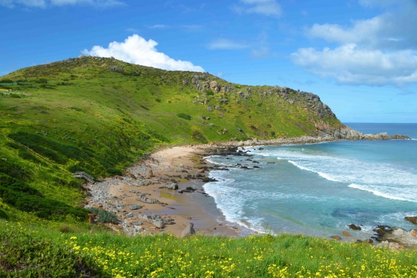 Zdjęcie z Australii - Zatoczka Petrel Cove